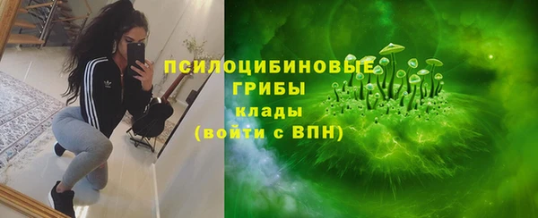 прущий лед Алзамай