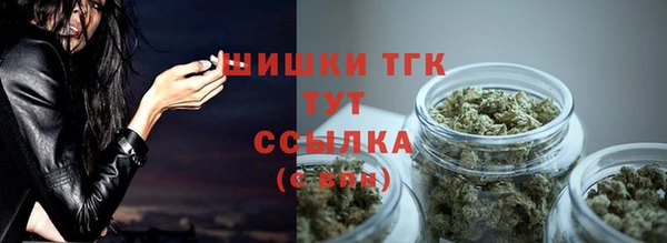 шишки Абинск
