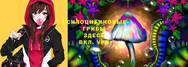 шишки Абинск