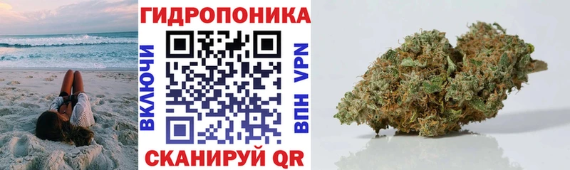 Бошки Шишки SATIVA & INDICA  Шумиха 